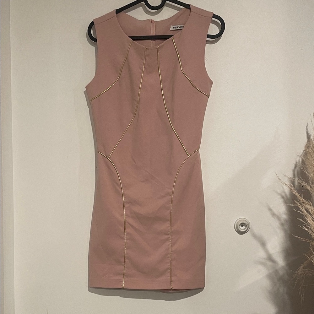 Fervente Blush Mini Dress with Gold Trim B118